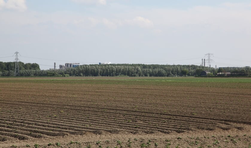 Auvergnepolder