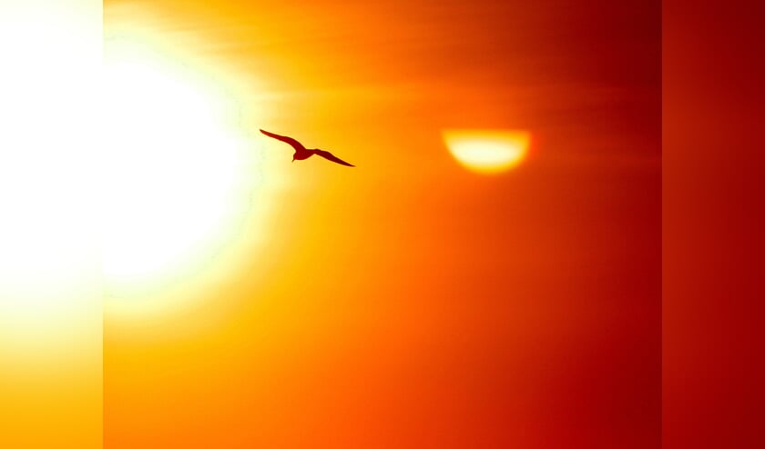 <p>zon-zonne-energie-zonnepanelen</p>