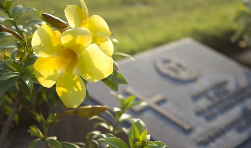 Gemeente ruimt volgend voorjaar graven op Noorderbegraafplaats