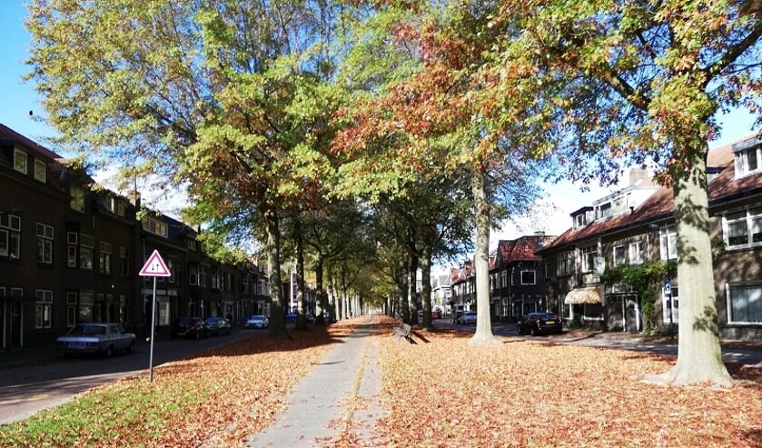 De herfst komt er aan. Door het droge weer van de afgelopen weken is de bladval al gestart.