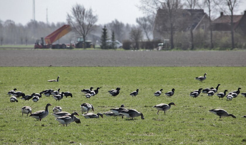 Eerste miljoenen overgemaakt voor compensatie kazerne