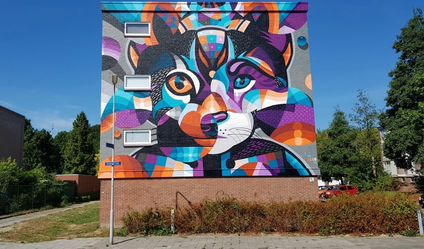 Ook 's-Heer Hendrikskinderen krijgt een mural 