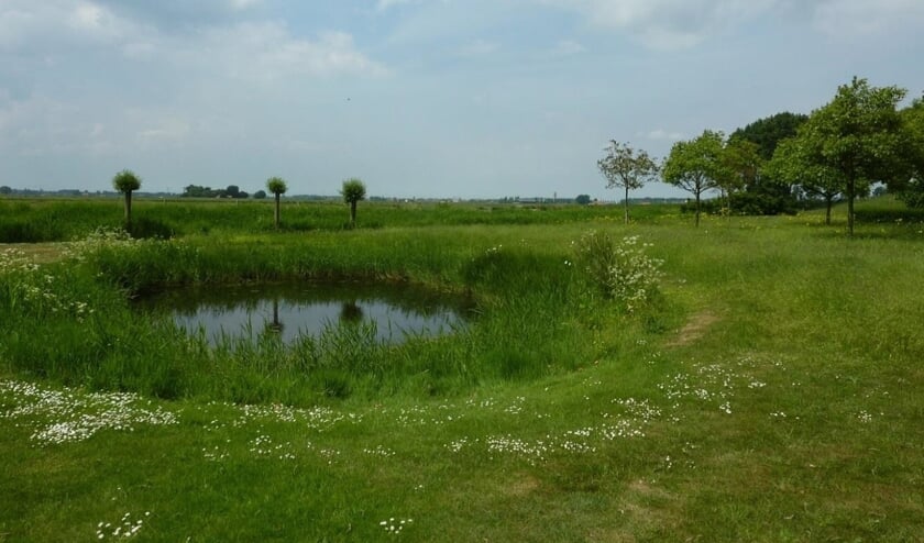 Een voorbeeld van een Zeeuwse landschapsparel.