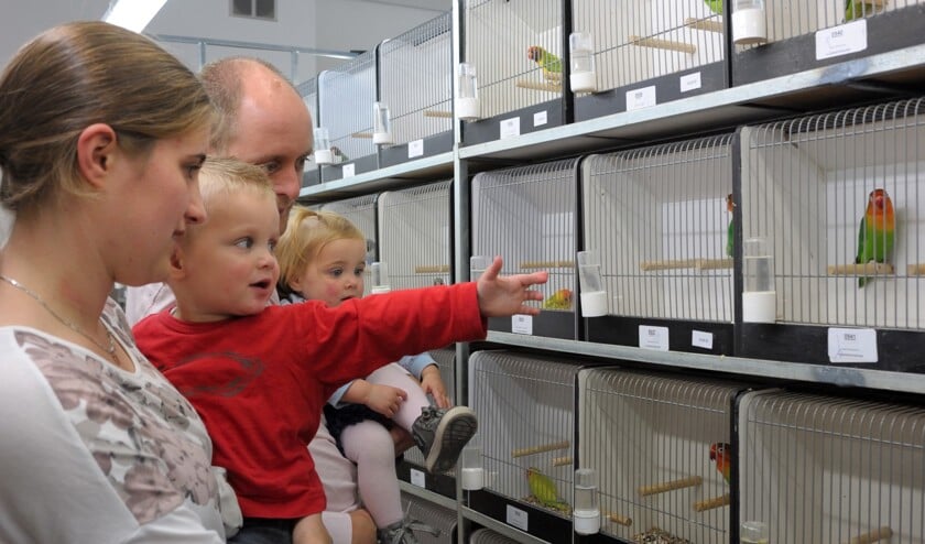 Bij de show zijn allerlei soorten vogels te bekijken.