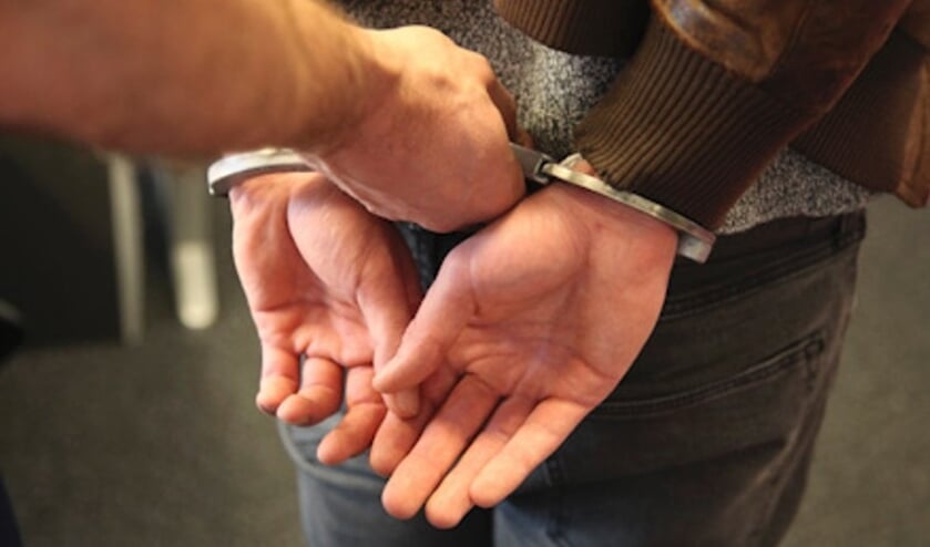 Vrouw mishandelt agenten die haar broer moeten oppakken 