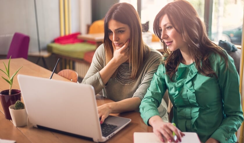 <p>2 dames met laptop</p>