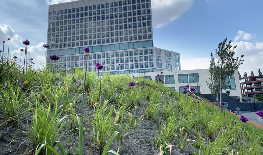 Tussen het spoor en het gerechtsgebouw ligt een nieuw park: het Spoorpark.