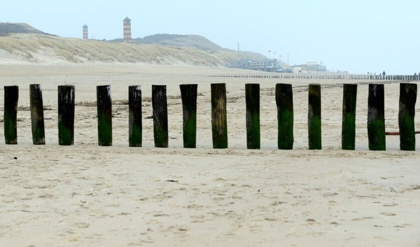 Op de Veerse waarderingsonderscheiding staan paalhoofden afgebeeld.