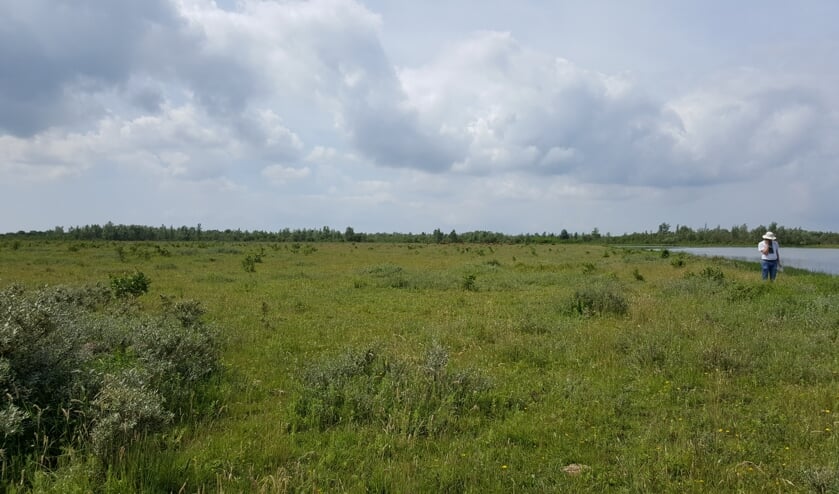 De Dintelse Gorzen.