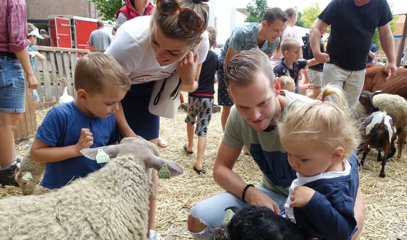 Jongens en meiden kunnen zich naar hartenlust uitleven bij Goes Kinderstad.