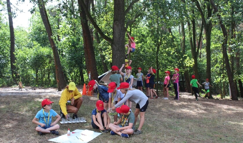 Kleine Romeinen in actie op Kooiduin.