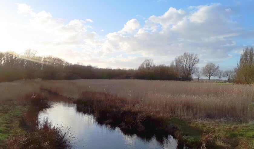 Het Nollebos en Westduingebied langs de Vlissingse kust.