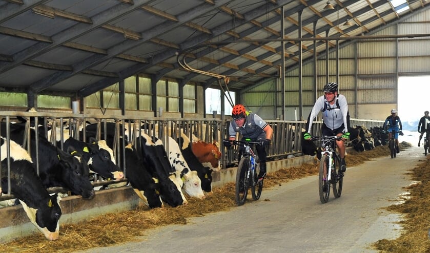 De veldtoertocht onderscheid zich door de vele verschillende passages.