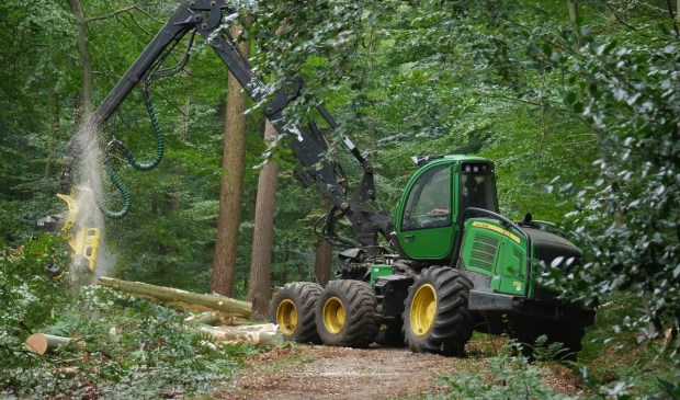 Tweeduizend kuub hout naar de vlakte in Liesbos tijdens grote werkzaamheden