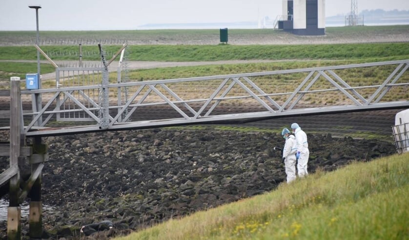 Politie toont foto’s van man die dood werd gevonden bij de Oesterdam