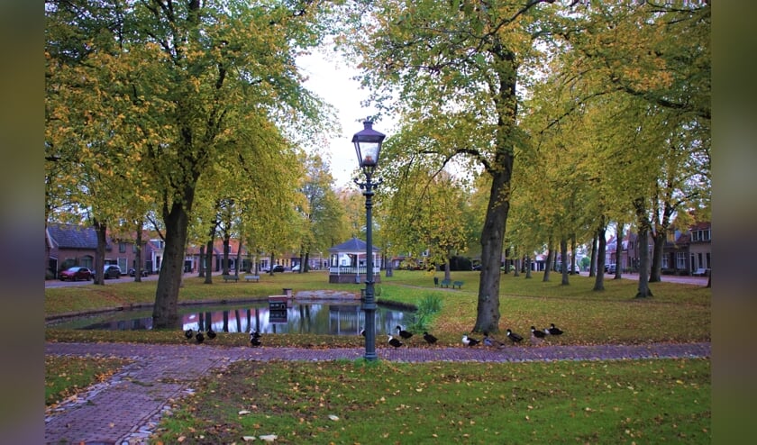 <p>Lezer Piet Grim maakte deze foto van het Dorpsplein in Nisse in herfstkleuren.</p>