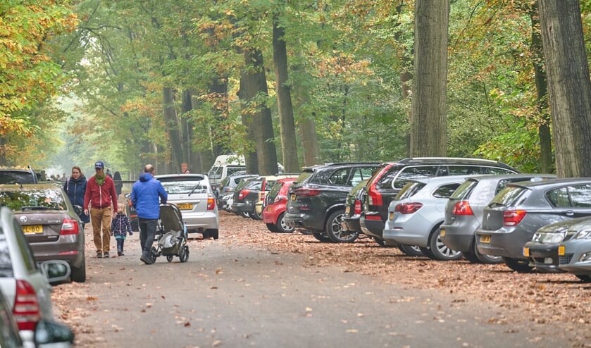 Drukte in de Bredase bossen.
