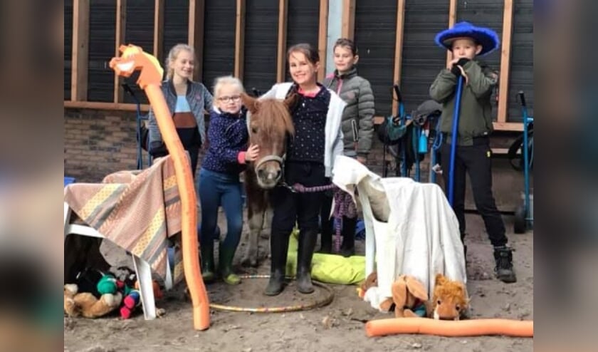 <p>Alle geslaagde Pony Power kids met pony Hettie. FOTO SASKIA NAGTEGAAL</p>