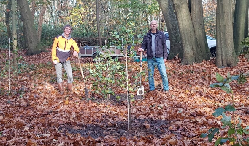 <p>Bomen geplant door de Vrienden van het Pagnevaartbos.</p>