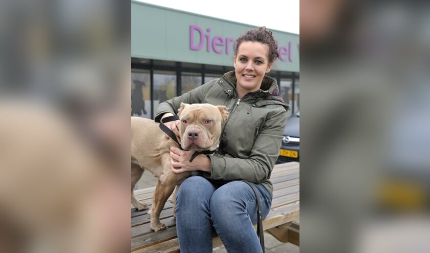 ‘We vragen goed door in het asiel’