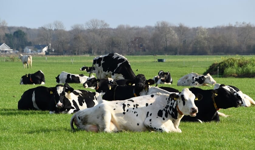 Historisch weerbericht: Warmste 9 november ooit gemeten