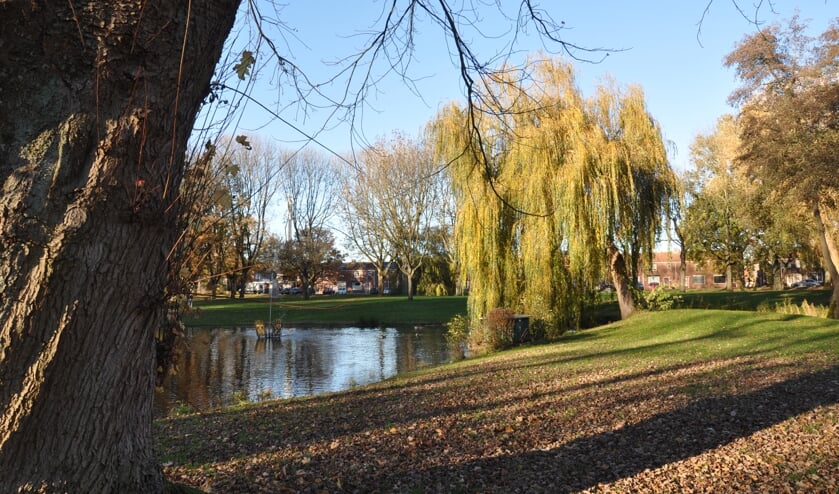 <p>Het hoge kostenplaatje bij de plannen voor de aanpak van het Stadspark is voor het gros van de raadsfracties onacceptabel. </p>