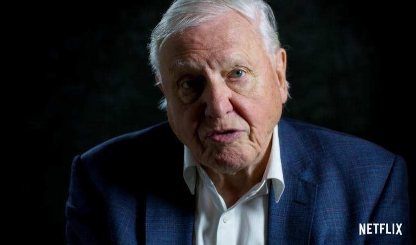 David Attenborough.