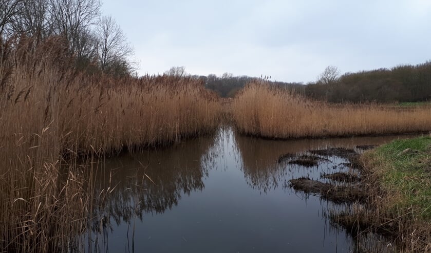 Behoud en Beheer Nollebos vindt inspraaktermijn toeristische visie te kort  