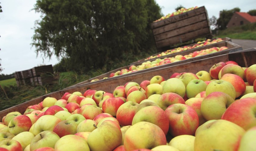 fruitpluk-kapelle-large