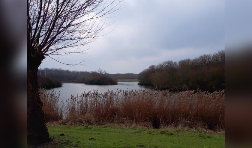 <p>Het Vlissingse Nollebos.</p>