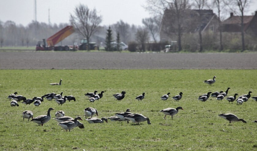 De subsidie is voor verschillende projecten van ondernemers en onderwijsinstellingen in Zeeland.