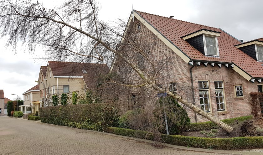 Eerdere stormschade, foto ter illustratie.