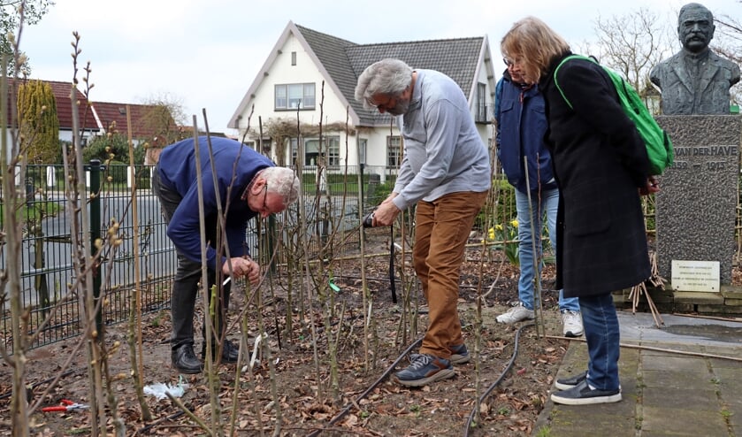 Fruitteeltmuseum opent vernieuwde tuin