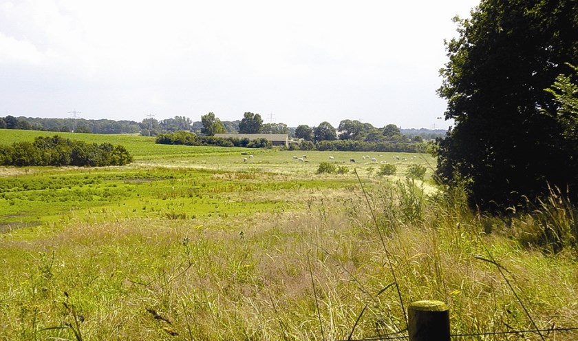 natuur1