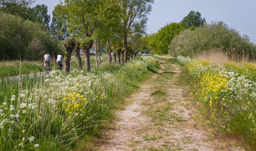 De Baroniekrant inspireert ook om de veelzijdige natuur in De Baronie te ontdekken.