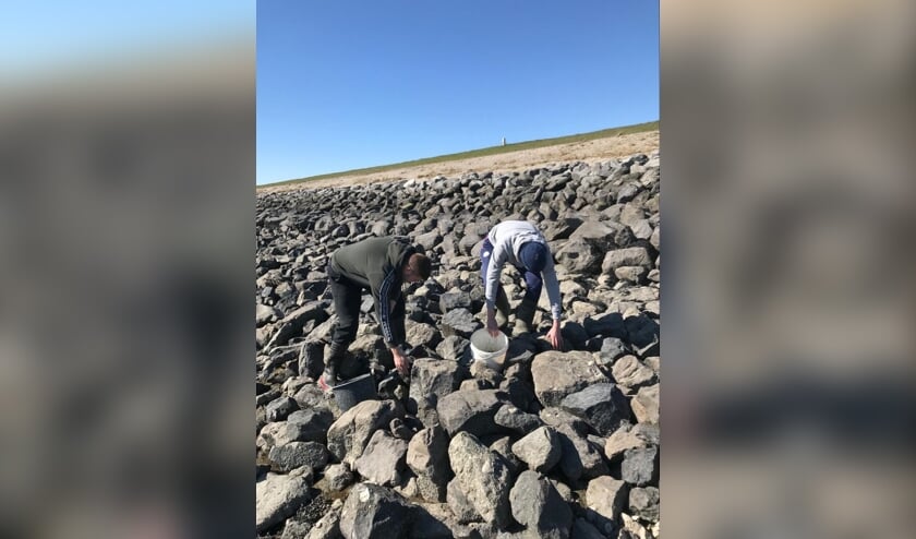 De gebroeders Julian en Jesse Schot aan het rapen voor het goede doel.