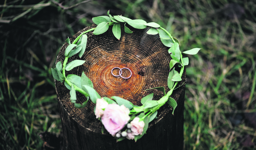 ringen krans boomstam_378774457.jpg