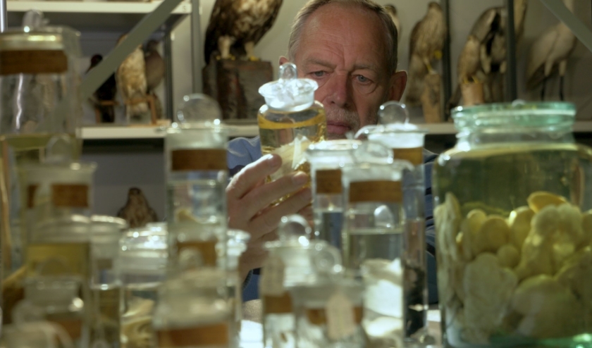 Cinema Middelburg heropent met 'Tijdgravers'