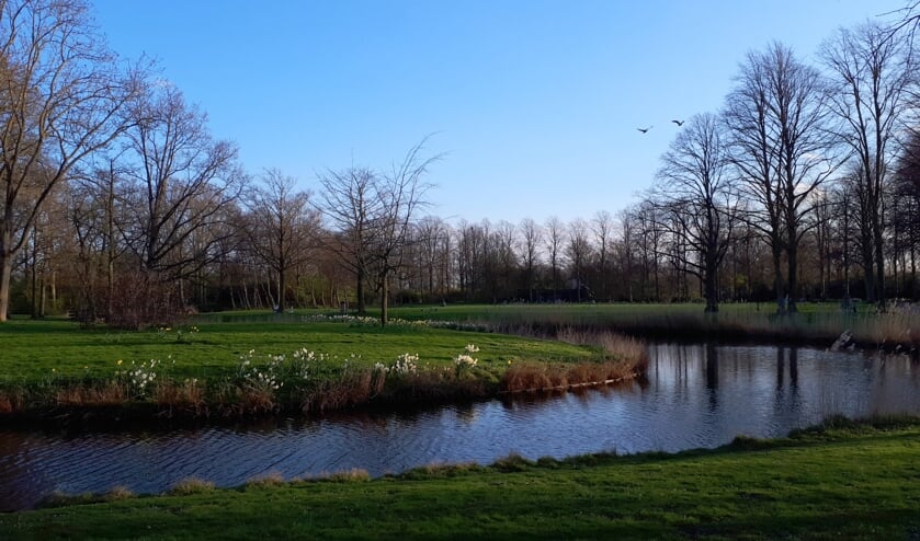 Potloodventer valt vrouw lastig in Park Toorenvliedt