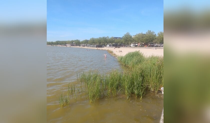 Bergse Plaat