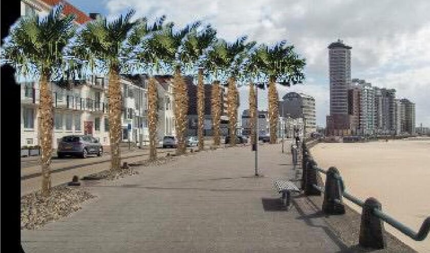 SGP: 'Vervang niet-functionele kunstwerkjes op boulevard door palmbomen'