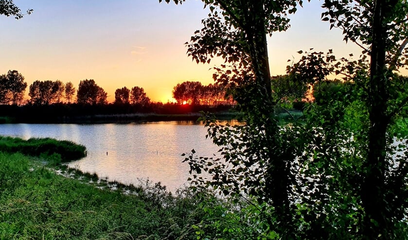 Wegdromen bij de Westeindse Weel