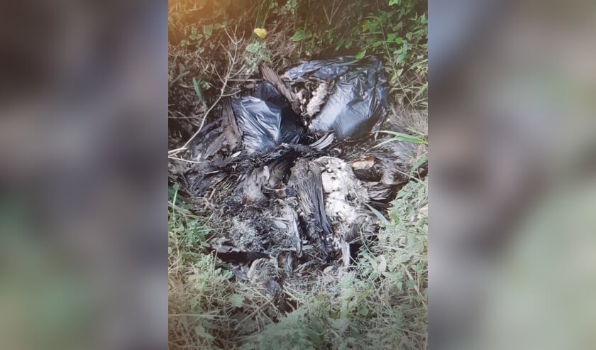 Politie onderzoekt vuilniszakken met vogelkadavers 