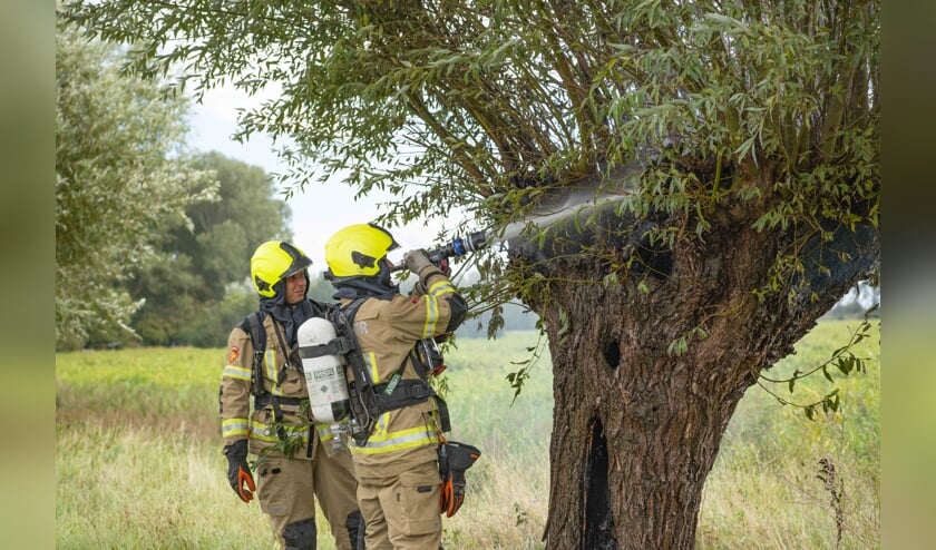 De brand was snel onder controle.