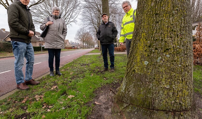 <p>V.l.n.r. Gé Rietdijk, Ellen Rietdijk, Ad Emmerik en Jan Gorissen.</p>