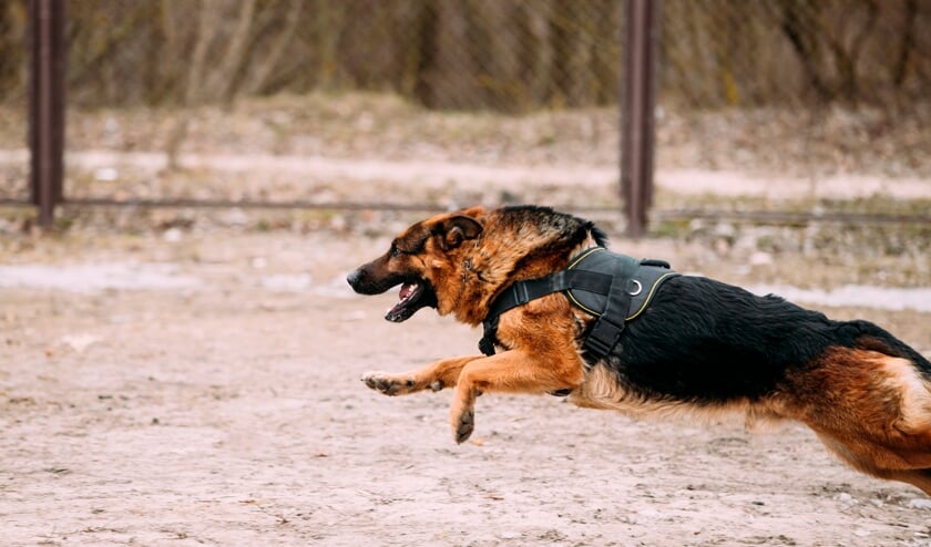 <p>Een alternatieve trainingslocatie is nog niet voorhanden. </p>