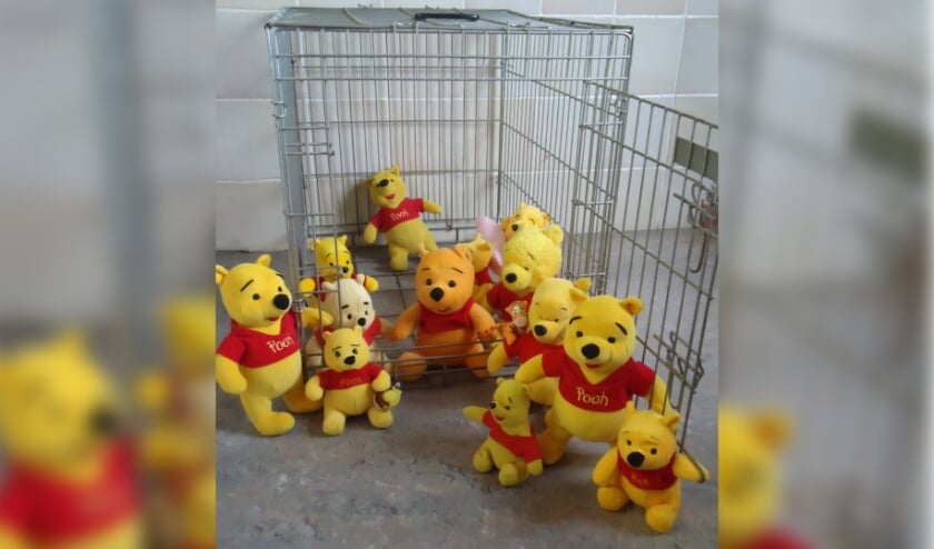 <p>De ontsnapte familie die tijdens de puzzeltocht moet worden opgespoord.</p>