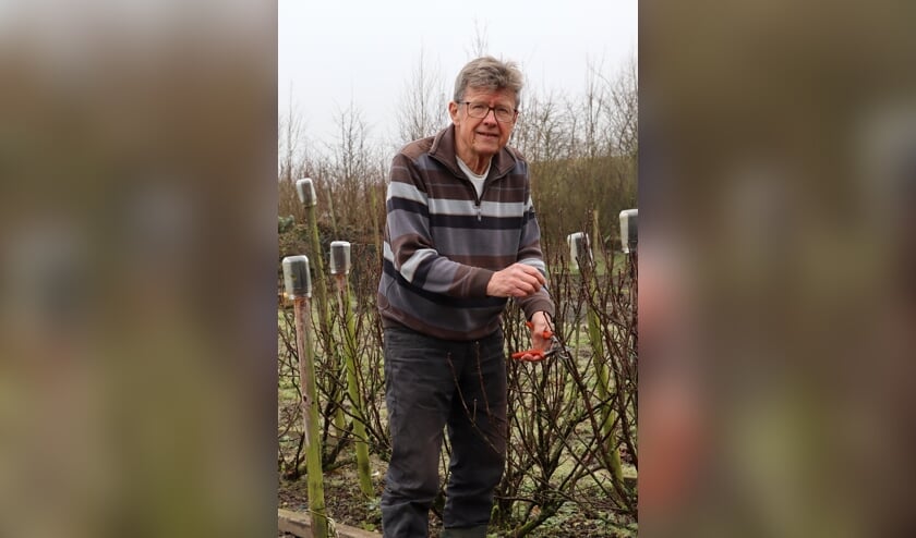 <p>Bram Vervenne uit Wemeldinge is al lekker aan het moestuinieren.</p>
