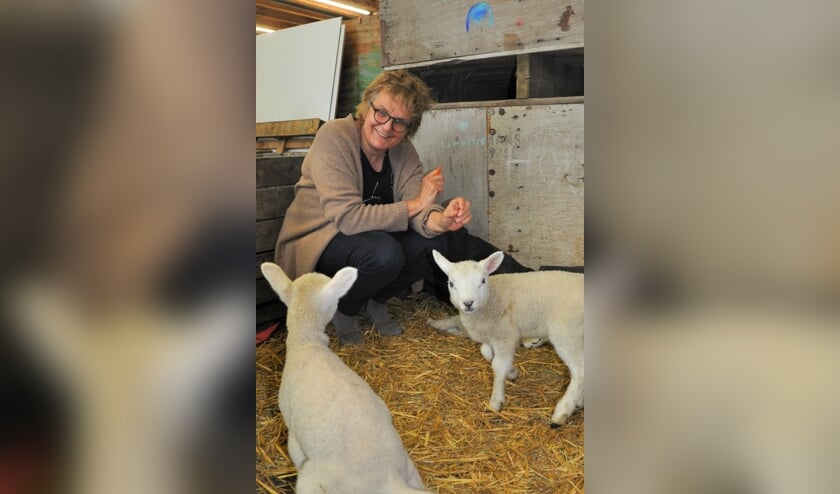<p>Marianne Rommens van Zorghoeve Kakelbont in Dinteloord: 'Zelfs voor de verstoten lammetjes van de buurman functioneren we als zorgboerderij'</p>
