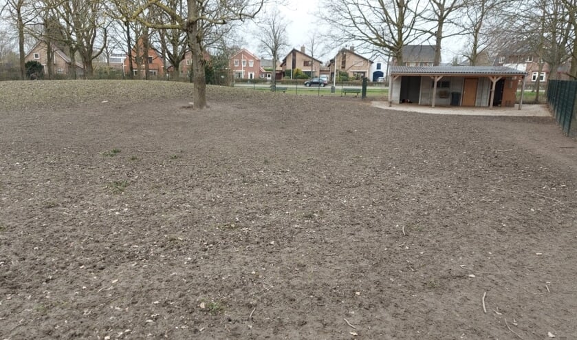 <p>De kale vlakte in het Dinteloordse hertenkamp.</p>